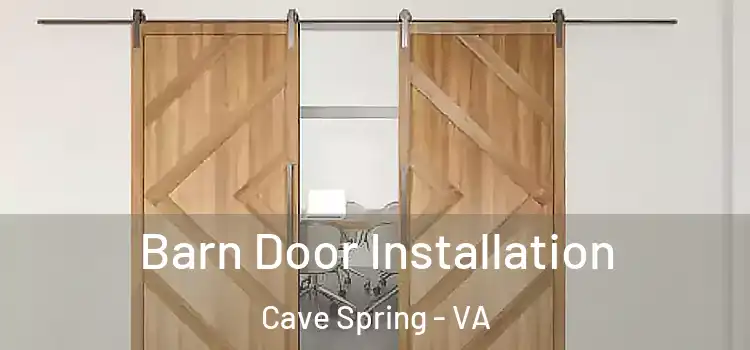  Barn Door Installation Cave Spring - VA