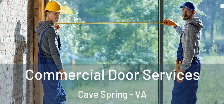 Commercial Door Services Cave Spring - VA