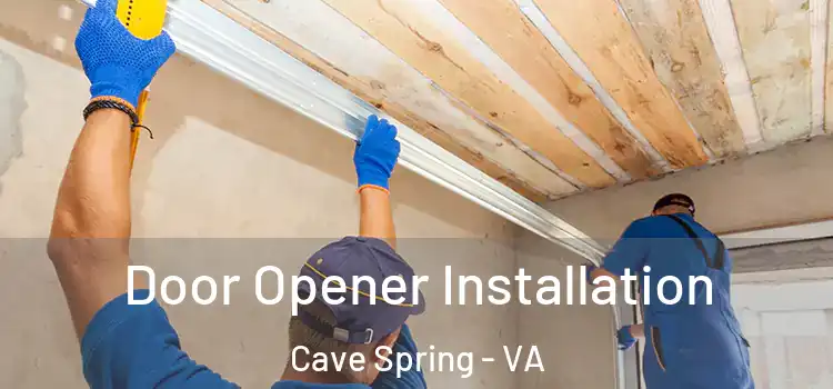 Door Opener Installation Cave Spring - VA