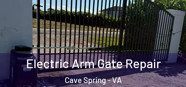  Electric Arm Gate Repair Cave Spring - VA